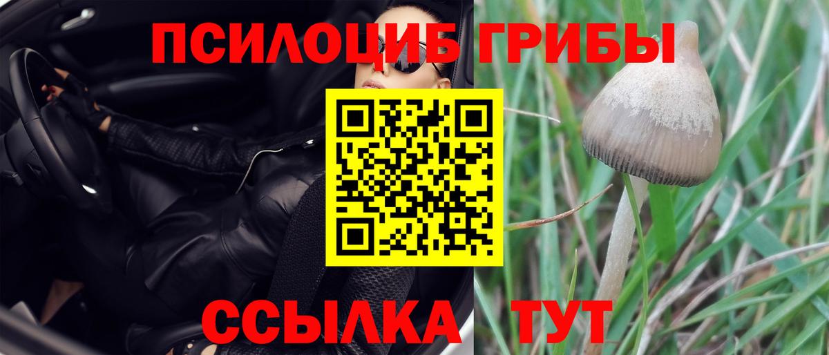 Псилоцибиновые грибы прущие грибы  Вход с VPN  Абакан  Псилоцибиновые грибы MAGIC MUSHROOMS 